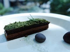 苔藓-知亘茶食