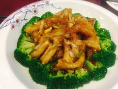 -鸢飞潍坊菜馆(鸢飞大酒店)