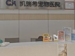-凯瑞希宠物医院·狂犬免疫·微创·皮肤科