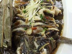 -梧桐花园餐厅(新城店)