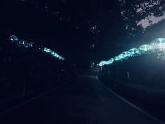 -石燕湖生态旅游景区