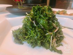 -福1015(愚园路店)