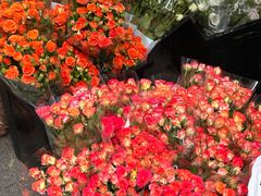 -循礼门鲜花花市(武汉循礼门店)