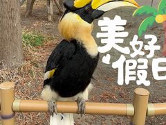 -宁波杭州湾国家湿地公园