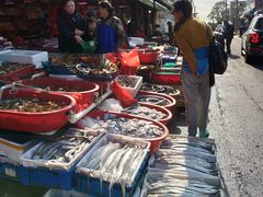 -芦潮港集贸市场