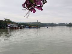 -惠州西湖