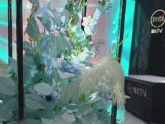 -魅KTV·AI辅唱(人民广场旗舰店)