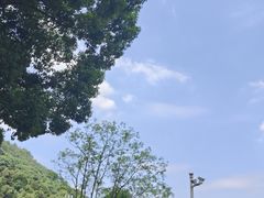-桃花岭景区