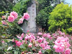 -梧桐山风景名胜区