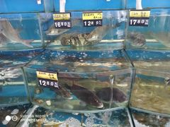 -渔中舟海鲜大排档(普陀沈家门店)