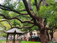 -上海兴国宾馆香樟园西餐厅