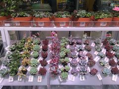 -KKV(重庆东原悦荟主力店)