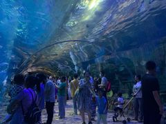 -华夏文旅海洋公园