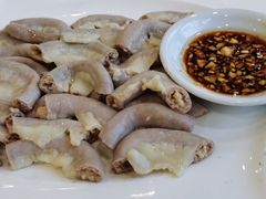 -姚林轩
