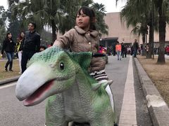 -自贡恐龙博物馆