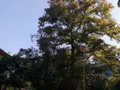 -桂林独秀峰王城景区