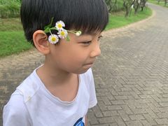 -上海海湾国家森林公园