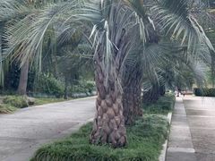 -苏州河梦清园环保主题公园