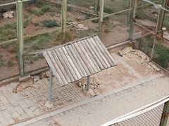 -青藏高原野生动物园