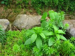 -黄公望隐居地