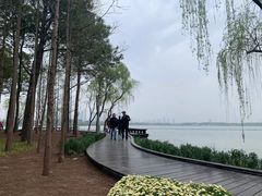 -渤公岛生态公园