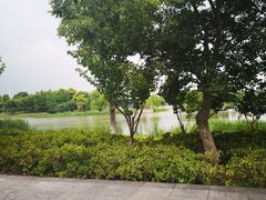 -尚贤河湿地