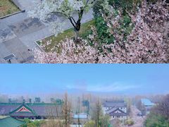 -南京城墙景区