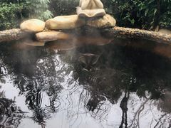 -天目湖涵田半山温泉