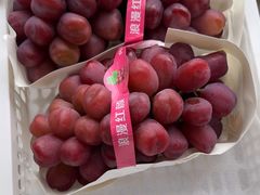 -马陆小张葡萄园农家乐