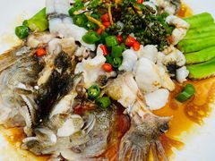 鲜花椒蒸鱼-猪肉婆私房菜(容桂总店)