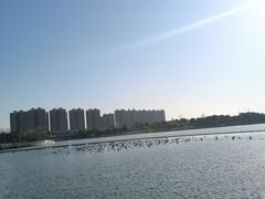 -映月湖中央公园