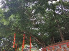 -仓山金山寺