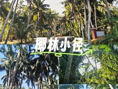 -东郊椰林