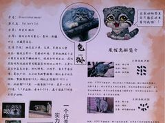 -青藏高原野生动物园