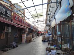 -中环花鸟鱼虫市场