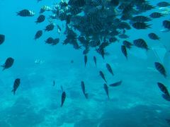 -亚龙湾海底世界