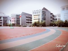 -北京第二实验小学