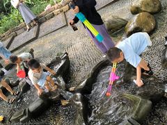 -成都市活水公园