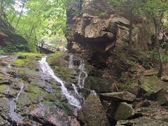 -五女峰国家森林公园