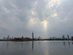-正宗上海陆记熏鱼