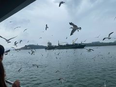 -海驴岛(荣成市)