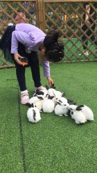 -萌宠亲子动物乐园(槐房万达店)