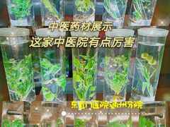 -北京中医药大学东直门医院(通州院区)