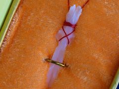 -干老四雅鱼饭店(滨江西路店)