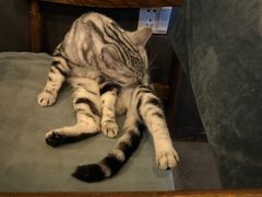 -VOYAGE COFFEE(北锣鼓巷店)