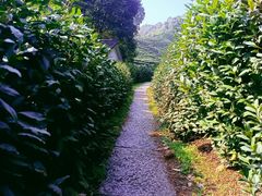 -宋宴(虎跑店)