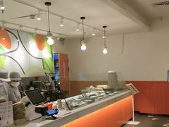 -油梨树 AVOCADO TREE(亮马桥店)