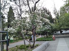 -宣武艺园