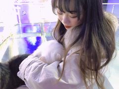 -极木²邸 人与宠物·互动社区