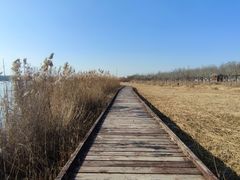 -西青郊野公园